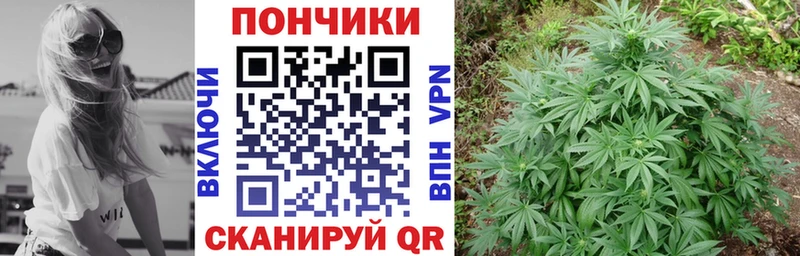 Купить наркотики сайты Гаврилов Посад Марихуана  МЕТАМФЕТАМИН  Alpha PVP  Амфетамин  Гашиш  Галлюциногенные грибы  KRAKEN ONION  Cocaine  МЕФ  NBOMe 