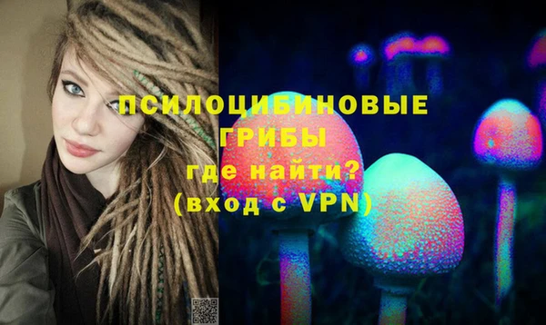 индика Анива