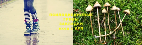 альфа пвп Арсеньев