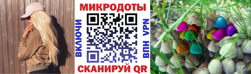 Галлюциногенные грибы GOLDEN TEACHER Гаврилов Посад